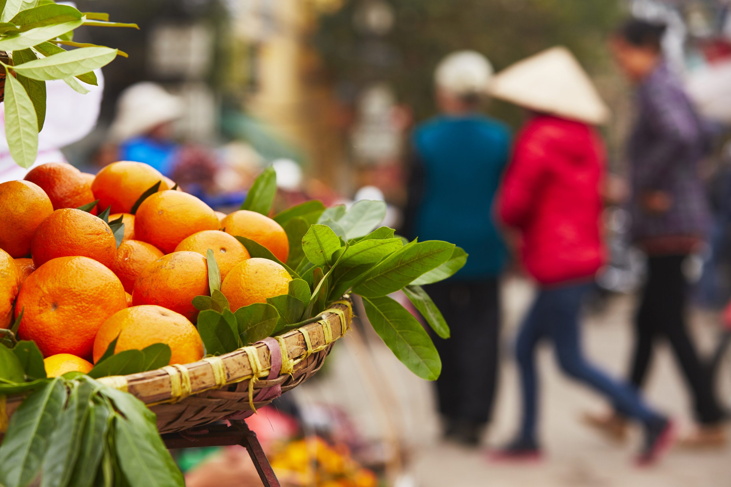 vietnam fruit